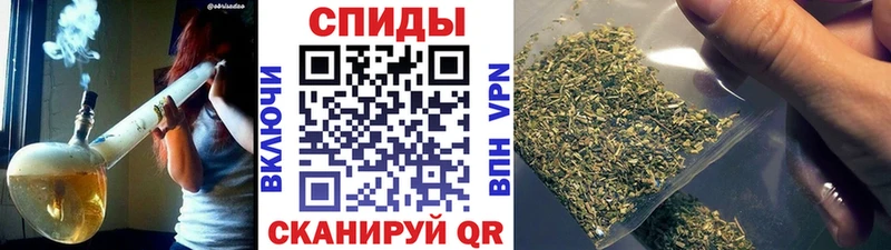 БУТИРАТ BDO Купить Кирс