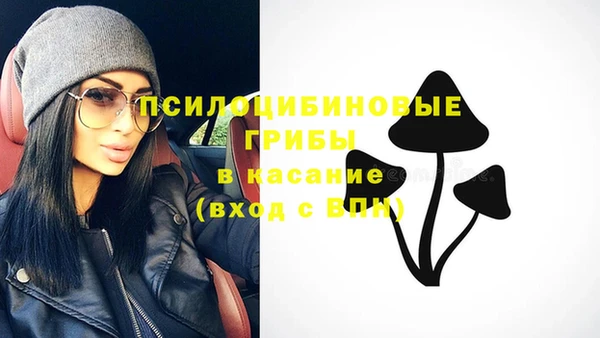 соль ск Верея