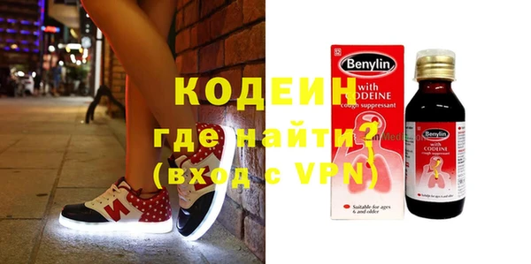 мдпв Верхний Тагил