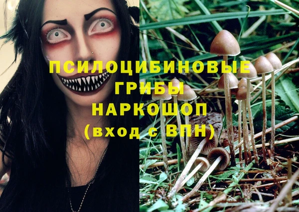 мдпв Верхний Тагил