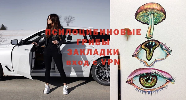 соль ск Верея