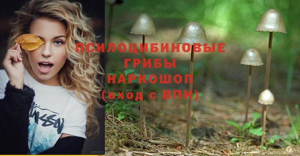 мдпв Верхний Тагил