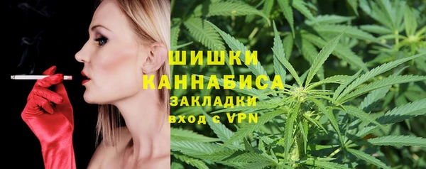 мдпв Верхний Тагил