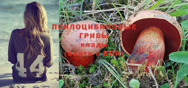 мдпв Верхний Тагил