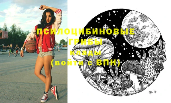 соль ск Верея