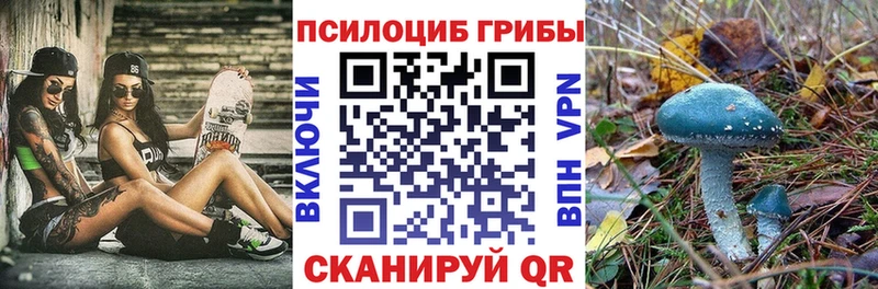 Псилоцибиновые грибы Psilocybine cubensis  Купить  Кирс 